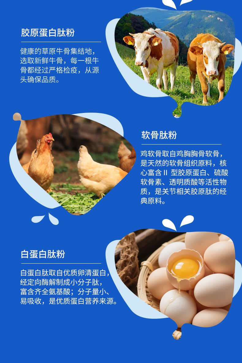 胶原蛋白多肽详情页_05.jpg